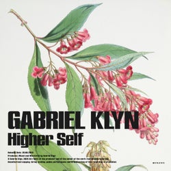Higher Self