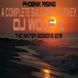 DJ WOLF e.'s TOP TEN TRACKS of FEBRUARY 2019