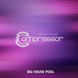 Big House Pool