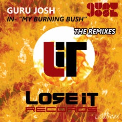 My Burning Bush (The Remixes)