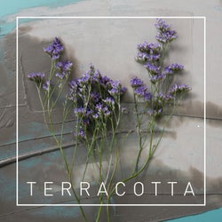 Terracotta