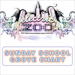 Sunday School Grove : Electric Zoo 2014