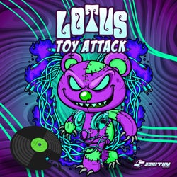 Toy Attack