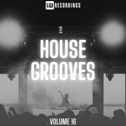 House Grooves, Vol. 16