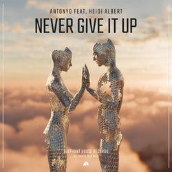 Never Give It Up (feat. Heidi Albert) (Extended Mix)