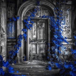 Room 888