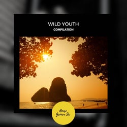 Wild Youth