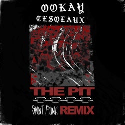The Pit (Saint Punk Remix)