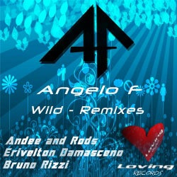 Wild Remixes