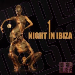 1 Night In Ibiza