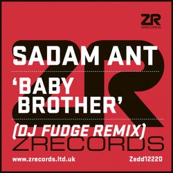 Baby Brother (DJ Fudge Remix)