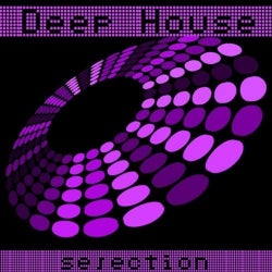 Best Of Deep House 2013. Vol.1