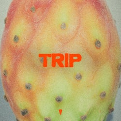 Trip