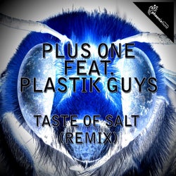Taste of Salt (feat. Plastik Guys) [Remix]