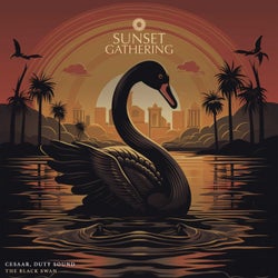 The Black Swan (Original Mix)
