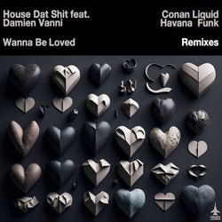 Wanna Be Loved (Conan Liquid and Havana Funk Remixes)