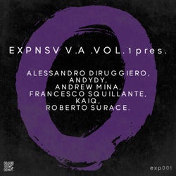 Expensive Records Various Artists Vol. 1