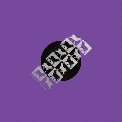 Municipal Dreams (Remixes)
