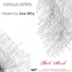 Baile Musik Compilation One (Mixed by See Why)