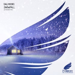 Snowfall