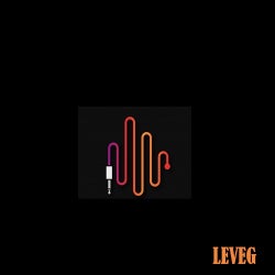 LEVEG MUSIC IS WHAT MATTERS