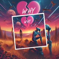 Why (feat. Ro Boz)
