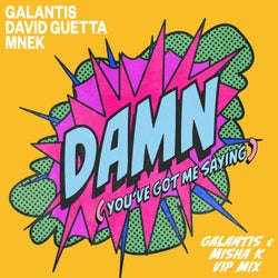 Damn (You've Got Me Saying) [Galantis & Misha K VIP Mix Extended]