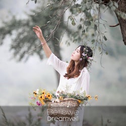 Dreamveil