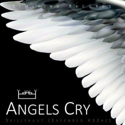 Angels Cry(Extended 432hz)