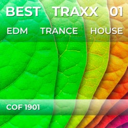 Best Traxx 01
