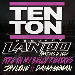 Fire In My Belly Remixes