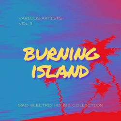 Burning Island (Mad Electro House Collection), Vol. 3