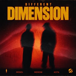 Different Dimension