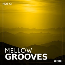 Mellow Grooves 016