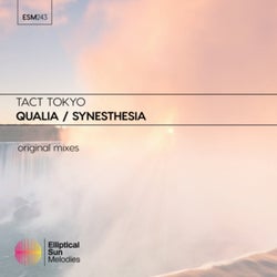 Qualia / Synesthesia