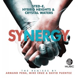 Synergy (The Remixes)