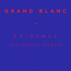 Evidence (Molecule Remix) - Single