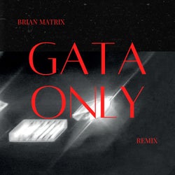 Gata Only (Brian Matrix Remix)