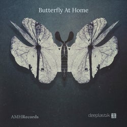 Butterfly At Home