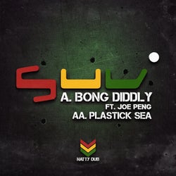 Bong Diddly feat. Joe Peng / Plastik Sea