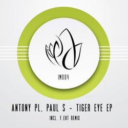 Tiger Eye EP