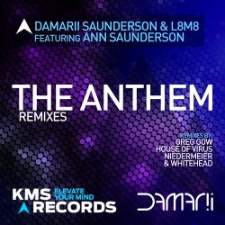 The Anthem Remixes