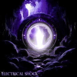 ELECTRICAL SHOCK