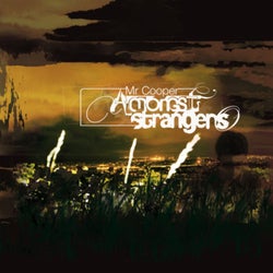 Amongst Strangers (Vinyl Version)
