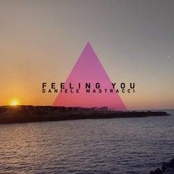 Feeling You