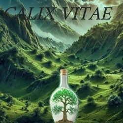 Calix Vitae