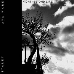 Night (Beyond Life) (feat. Ava Ware)