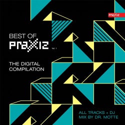 Best of PRAXXIZ, Vol. 1 - The Digital Compilation