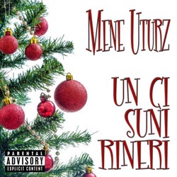 Un ci suni rineri