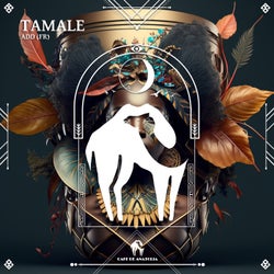 Tamale